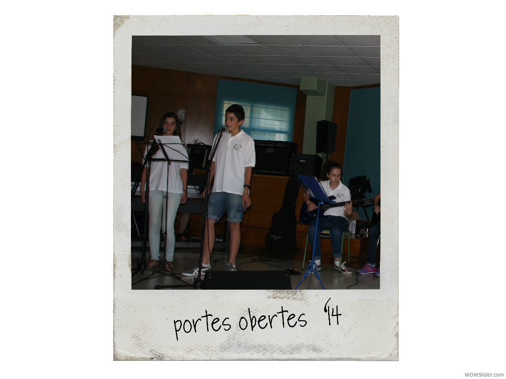 polaroid 26