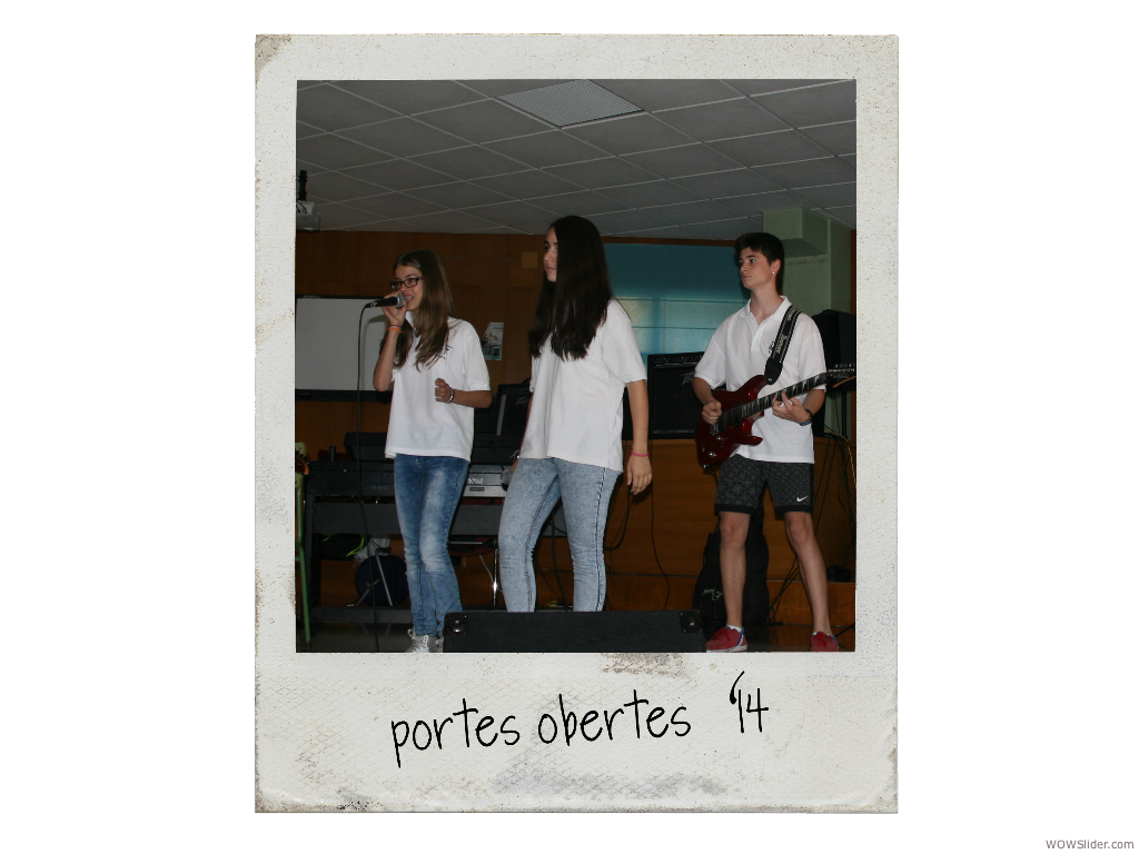 polaroid 28