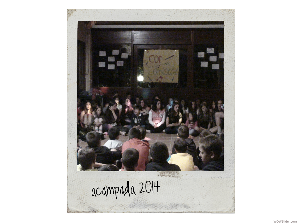 polaroid 37